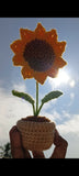 Sunflower Pot Crochet