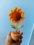 Sunflower Pot Crochet