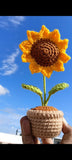 Sunflower Pot Crochet