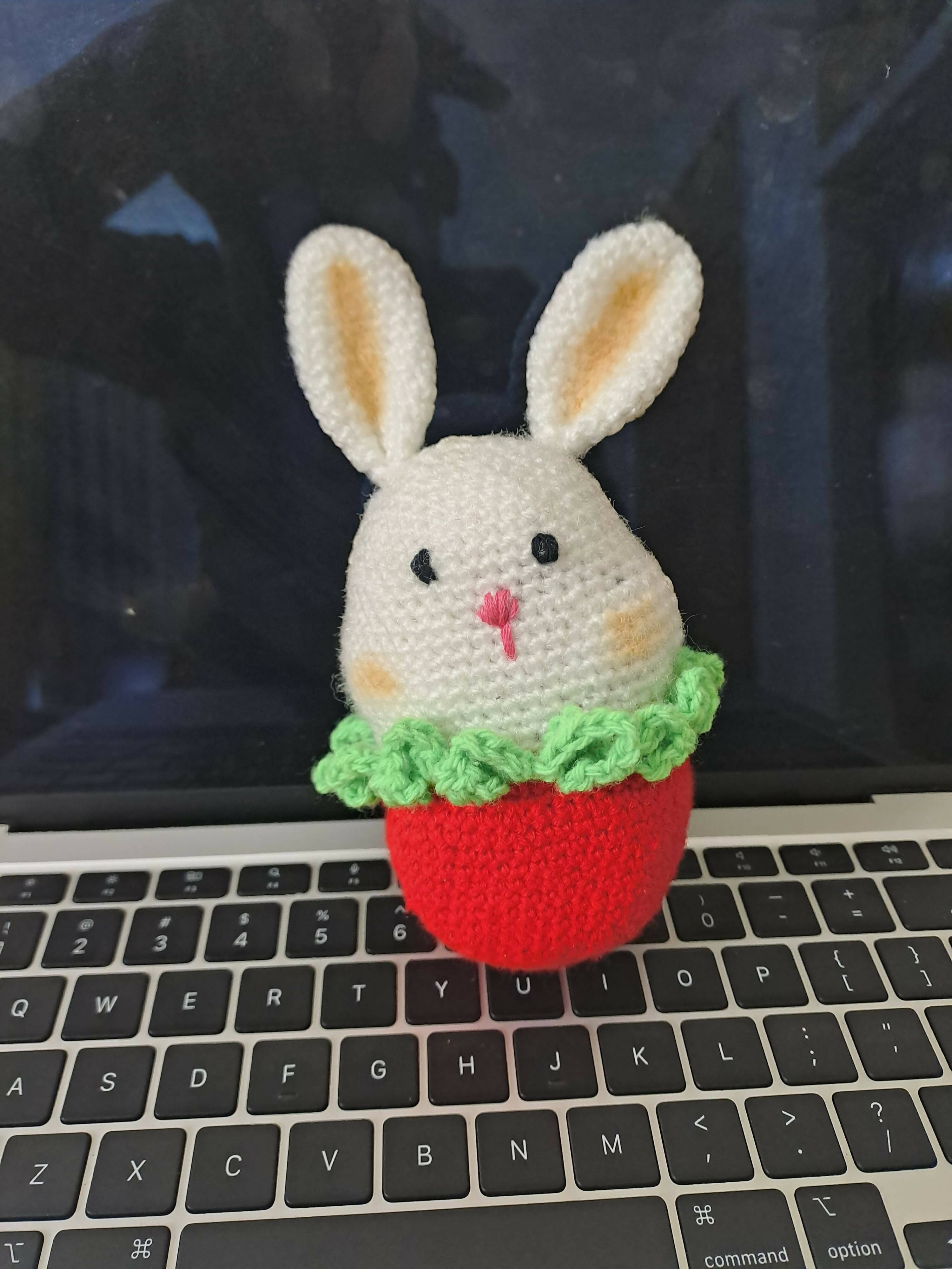 Crochet Handmade Strawberry Bunny