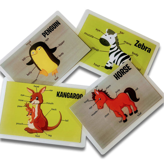 Animal Body Parts Flashcards - PyaraBaby