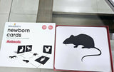 BRAINSMITH Newborn Beginner Kit - 5 Sets of Cards (10 cards in each set) - PyaraBaby