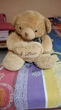 Big brown teddy and bunny (Soft toy) - PyaraBaby