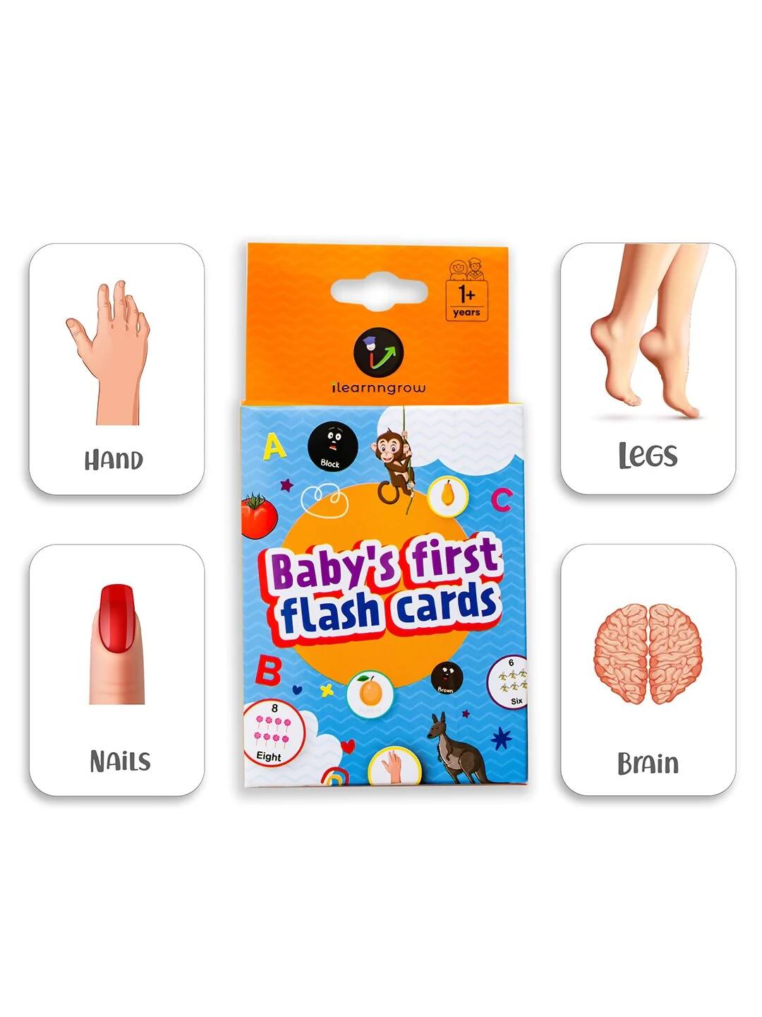 ILEARNNGROW Body Parts Flash Cards for kids learning, Educational Activities, Learning About the Body, Human Body, Body Identification - PyaraBaby