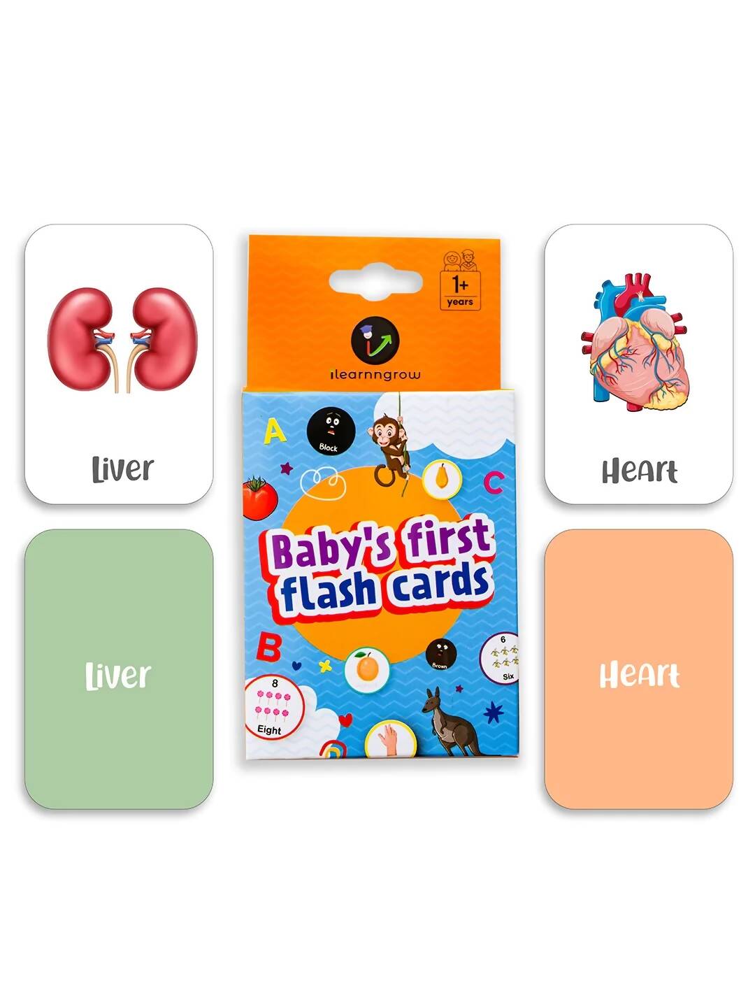 ILEARNNGROW Body Parts Flash Cards for kids learning, Educational Activities, Learning About the Body, Human Body, Body Identification - PyaraBaby